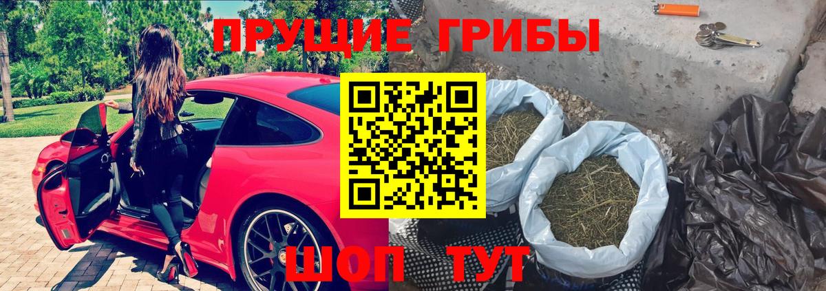 Галлюциногенные грибы Cubensis Йошкар-Ола