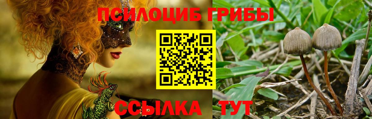 Йошкар-Ола  Псилоцибиновые грибы ЛСД  Вход с VPN 